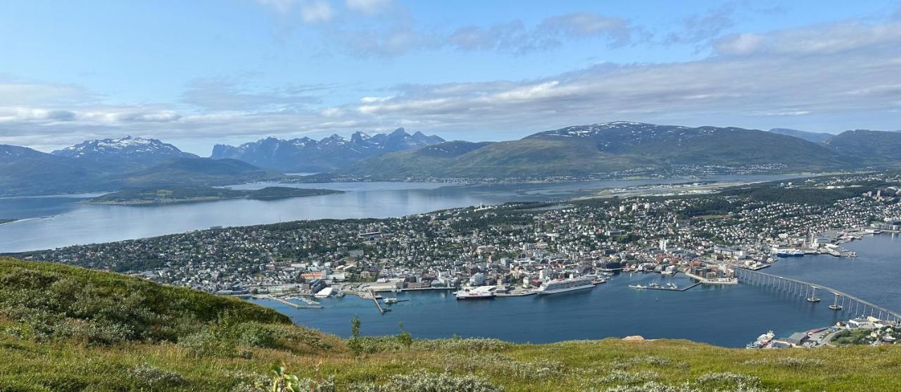 Tromsdalen Aurora * Tromso