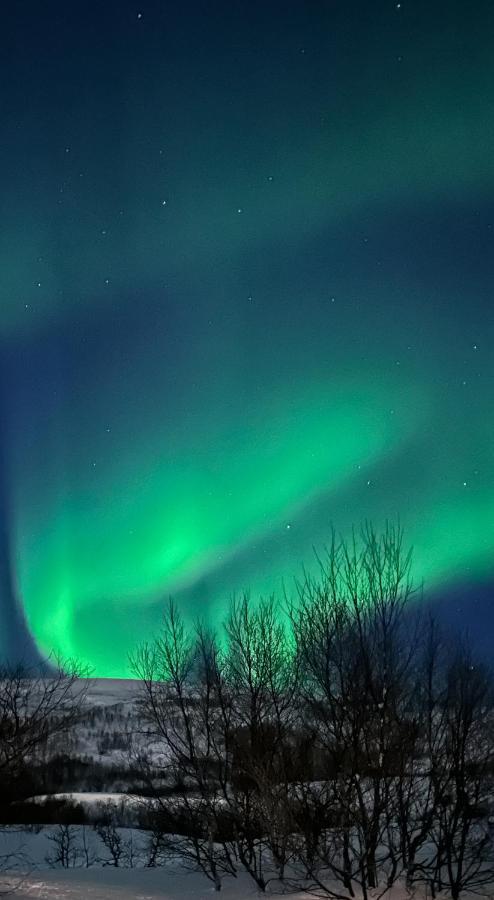 Tromsdalen Aurora Apartment *